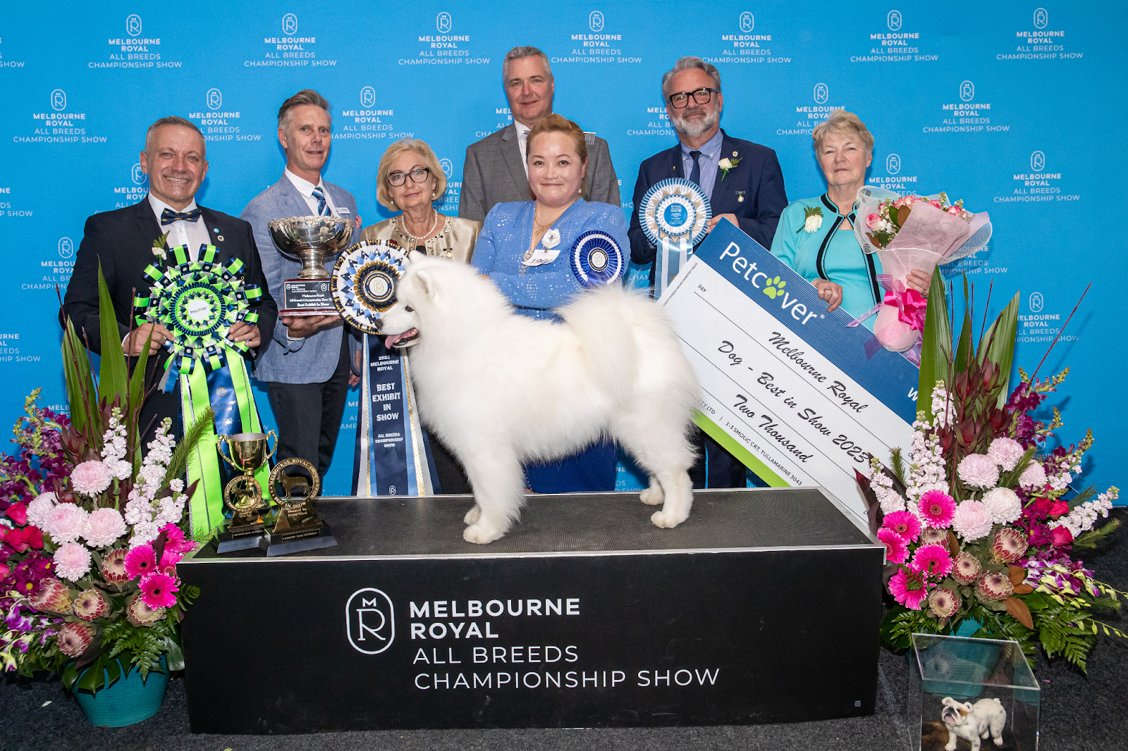 2023 Best in Show winner, Helen Chen and her dog, Smiling Snowball Luminous Pandora' “Panda,”