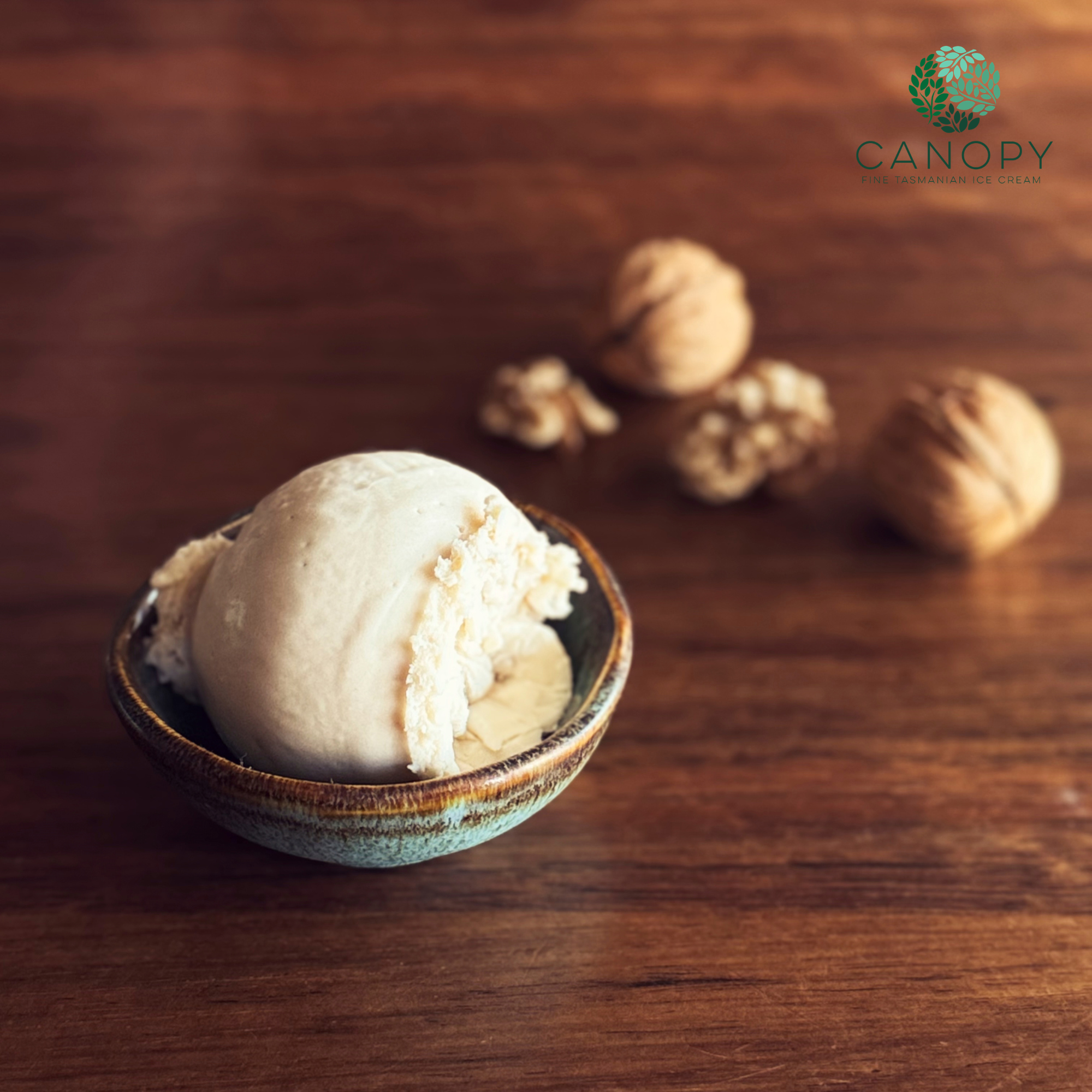 CAnopy Foods, Salted Walnuts Ice cream