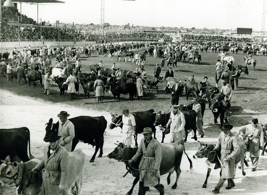 Photograph - Grand Parade, 1957