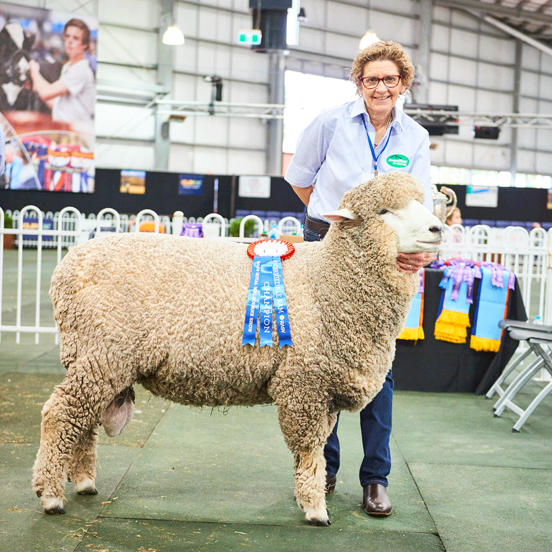 Meet Bron Ellis, Royal Melbourne Show Sheep Committee Member