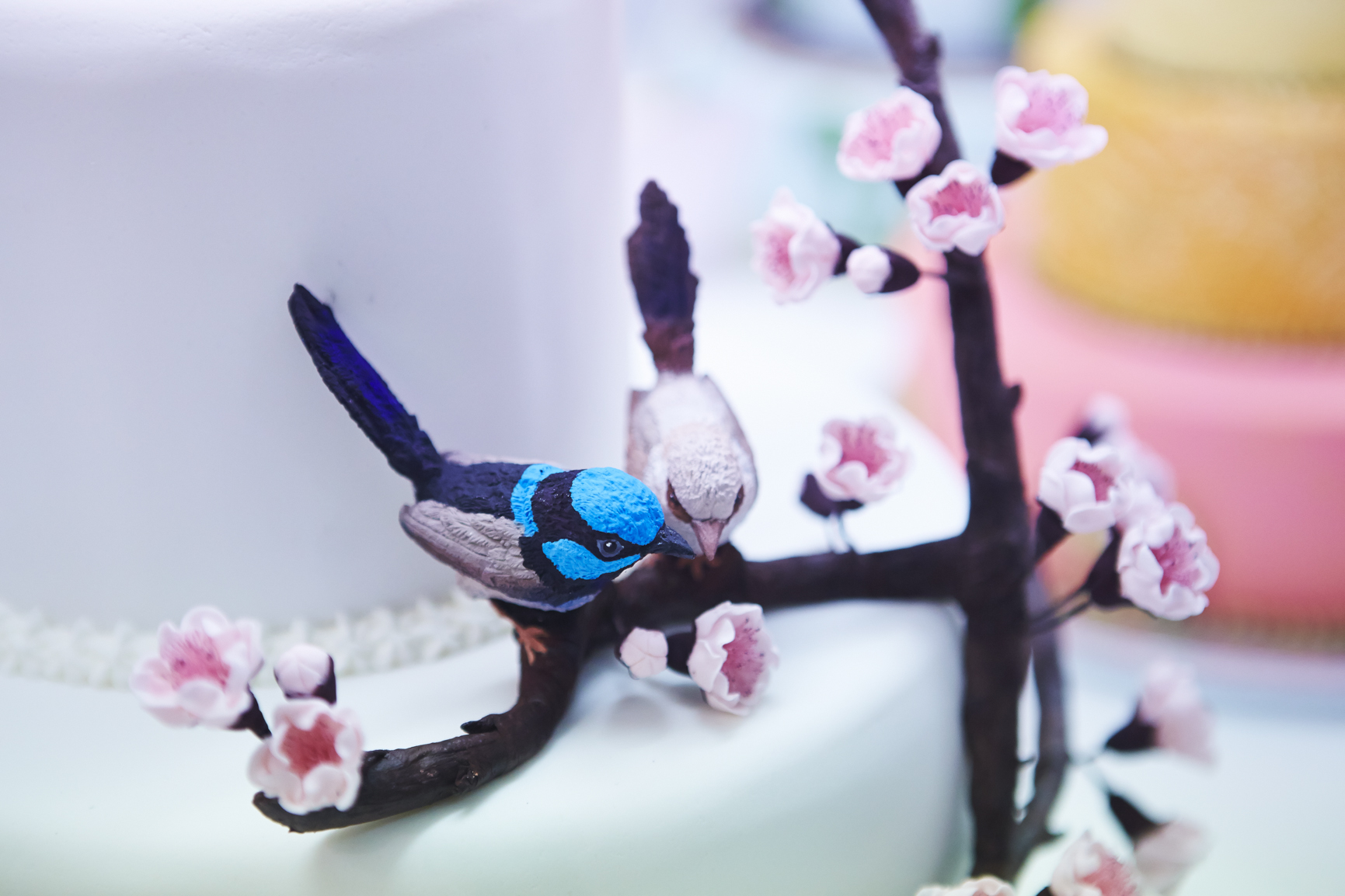 Decorated Cake - 2019 Art, Craft & Cookery Competition on display at the Royal Melbourne Show.