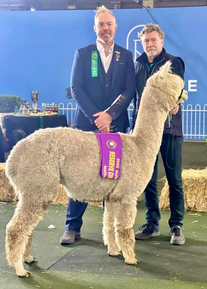 2022 Melbourne Royal - Ron Condon with Irish Judge Roger Clarke