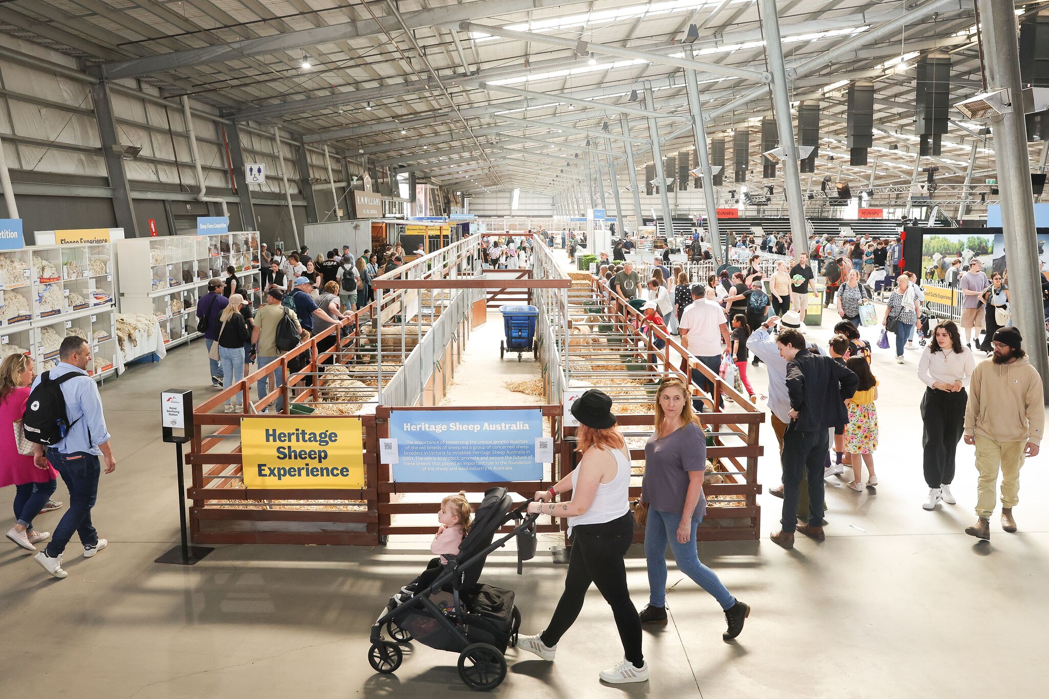 The Heritage Sheep display at the 2023 Melbourne Royal Show.